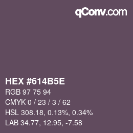 Código de color: HEX #614B5E | qconv.com