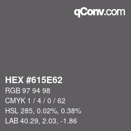 Código de color: HEX #615E62 | qconv.com