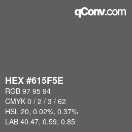 Color code: HEX #615F5E | qconv.com