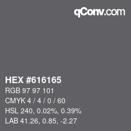 Color code: HEX #616165 | qconv.com