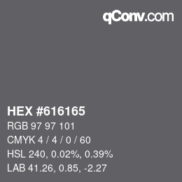 Color code: HEX #616165 | qconv.com