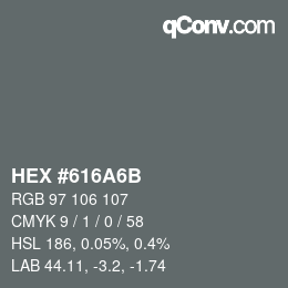 Farbcode: HEX #616A6B | qconv.com
