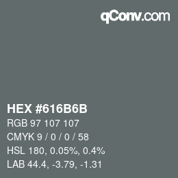 Color code: HEX #616B6B | qconv.com