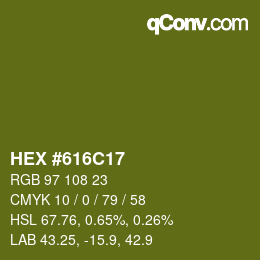 Color code: HEX #616C17 | qconv.com