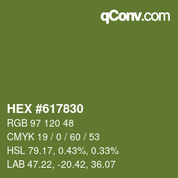 颜色代码: HEX #617830 | qconv.com
