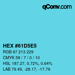 Color code: HEX #61D5E5 | qconv.com