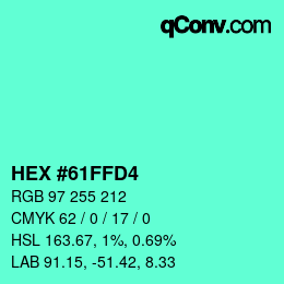 Color code: HEX #61FFD4 | qconv.com