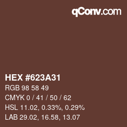 颜色代码: HEX #623A31 | qconv.com