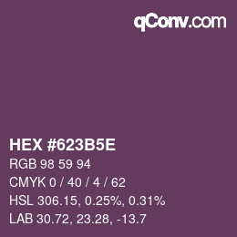 Código de color: HEX #623B5E | qconv.com