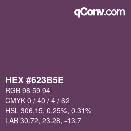 Code couleur: HEX #623B5E | qconv.com