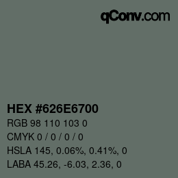 Color code: HEX #626E6700 | qconv.com