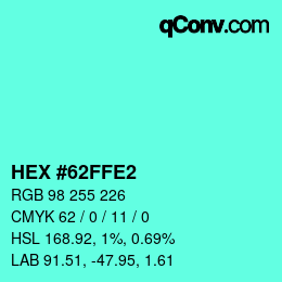 Color code: HEX #62FFE2 | qconv.com