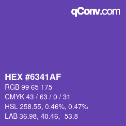 Color code: HEX #6341AF | qconv.com