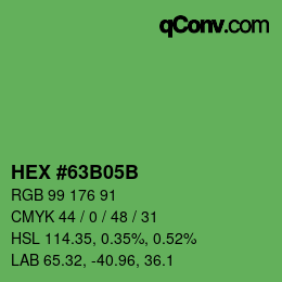 Color code: HEX #63B05B | qconv.com