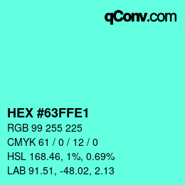 Color code: HEX #63FFE1 | qconv.com