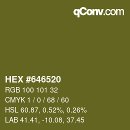 Color code: HEX #646520 | qconv.com