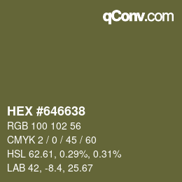 Color code: HEX #646638 | qconv.com