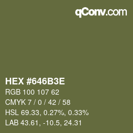 Color code: HEX #646B3E | qconv.com