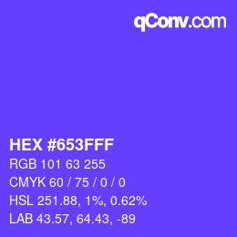 Color code: HEX #653FFF | qconv.com