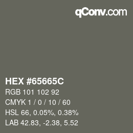 Color code: HEX #65665C | qconv.com