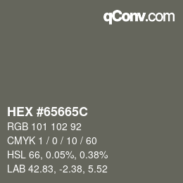 Code couleur: HEX #65665C | qconv.com