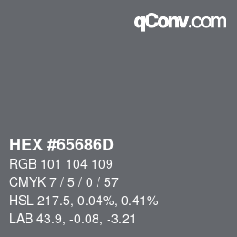 Color code: HEX #65686D | qconv.com