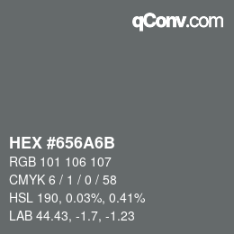 Color code: HEX #656A6B | qconv.com