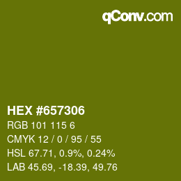Color code: HEX #657306 | qconv.com