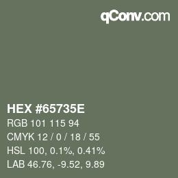 Code couleur: HEX #65735E | qconv.com