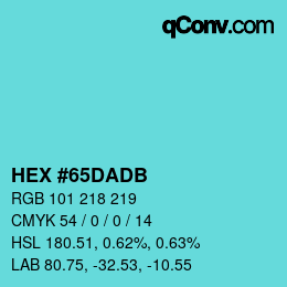 Color code: HEX #65DADB | qconv.com