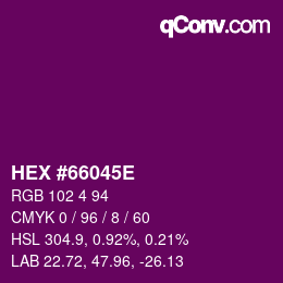 Color code: HEX #66045E | qconv.com