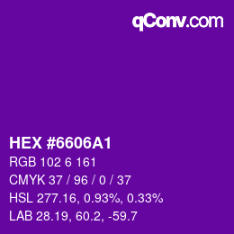 Color code: HEX #6606A1 | qconv.com