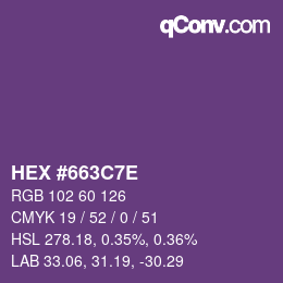 Color code: HEX #663C7E | qconv.com