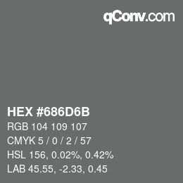 Color code: HEX #686D6B | qconv.com