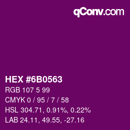 Color code: HEX #6B0563 | qconv.com