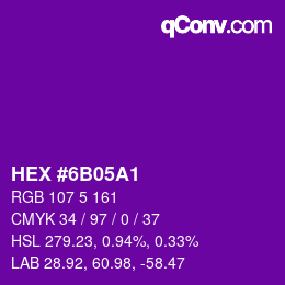 カラーコード: HEX #6B05A1 | qconv.com
