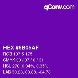 カラーコード: HEX #6B05AF | qconv.com