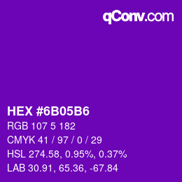 Color code: HEX #6B05B6 | qconv.com