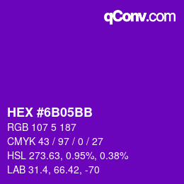 Color code: HEX #6B05BB | qconv.com