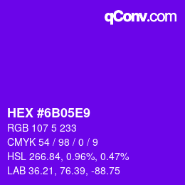 Color code: HEX #6B05E9 | qconv.com