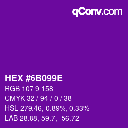 Color code: HEX #6B099E | qconv.com