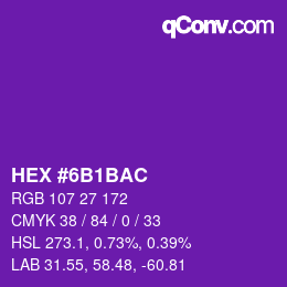 Color code: HEX #6B1BAC | qconv.com