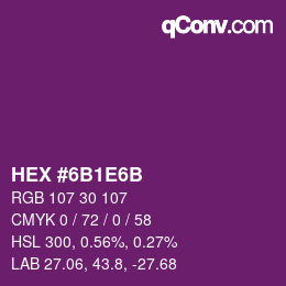 Color code: HEX #6B1E6B | qconv.com