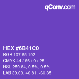 Color code: HEX #6B41C0 | qconv.com