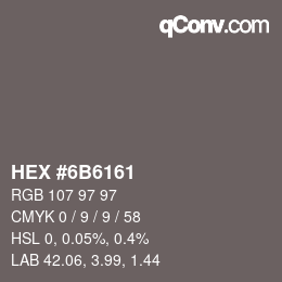 Color code: HEX #6B6161 | qconv.com