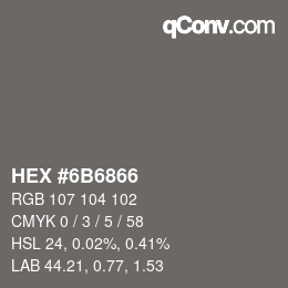 Color code: HEX #6B6866 | qconv.com