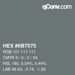 Color code: HEX #6B7575 | qconv.com