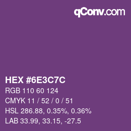 Color code: HEX #6E3C7C | qconv.com