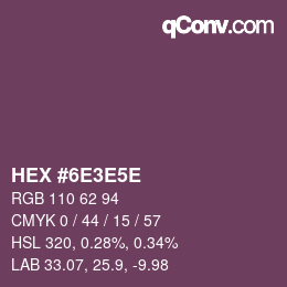 Color code: HEX #6E3E5E | qconv.com