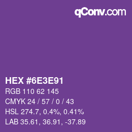 Color code: HEX #6E3E91 | qconv.com